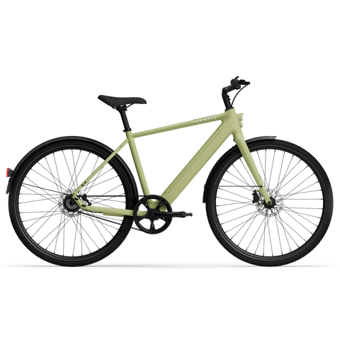 2024_avocado_green