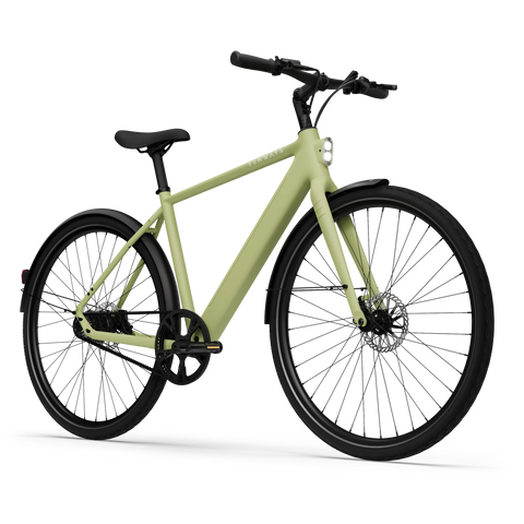 2024_avocado_green