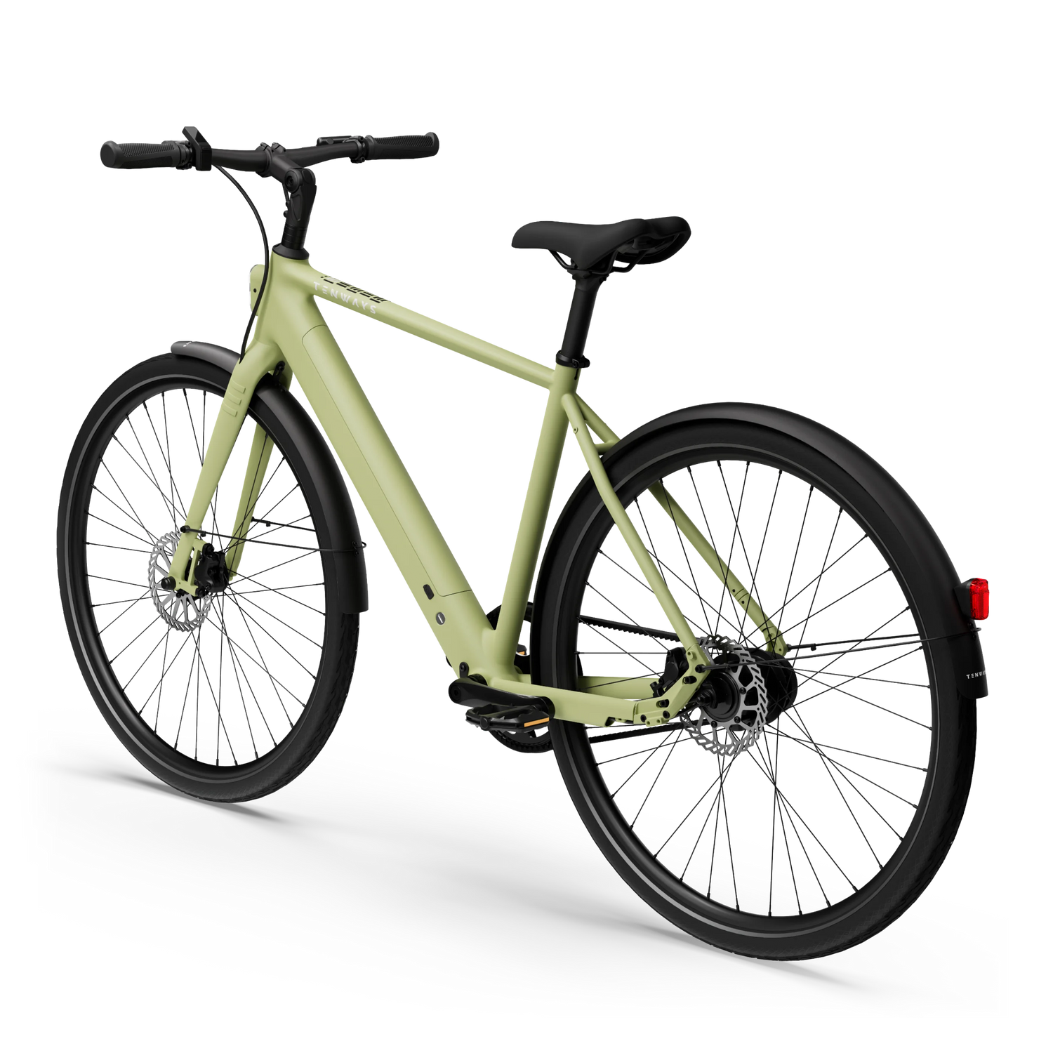 2024_avocado_green