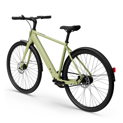 2024_avocado_green