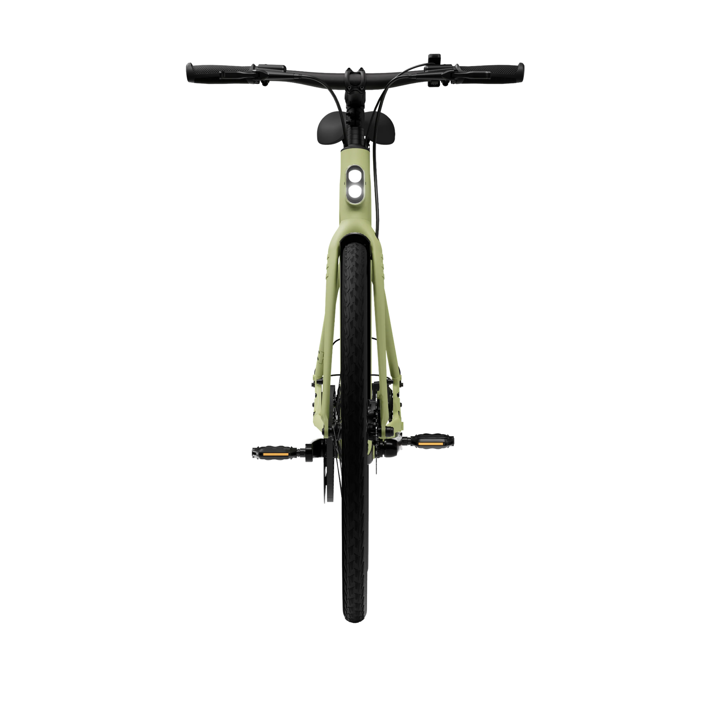 2024_avocado_green