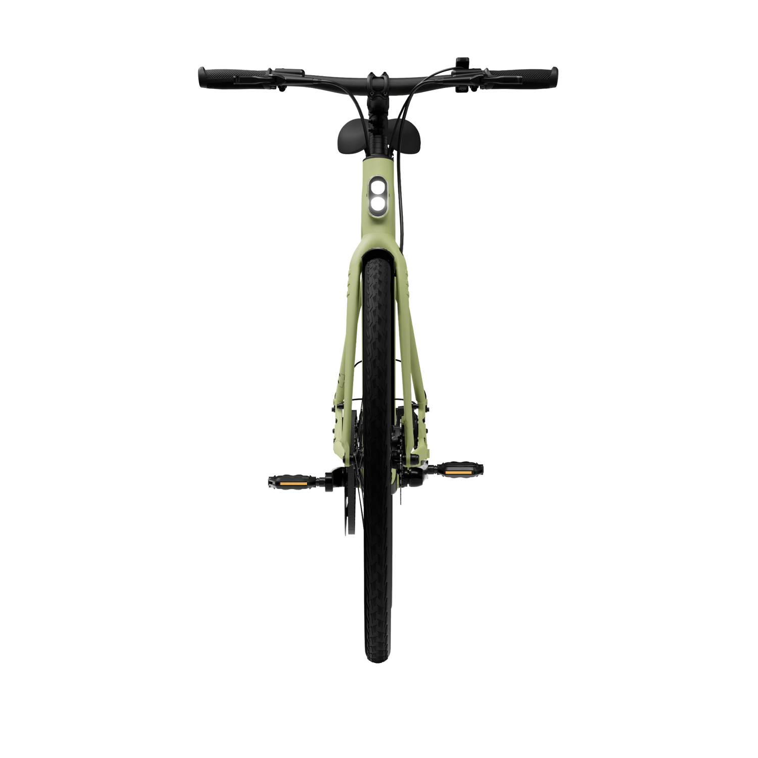 2024_avocado_green