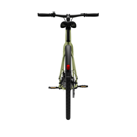 2024_avocado_green