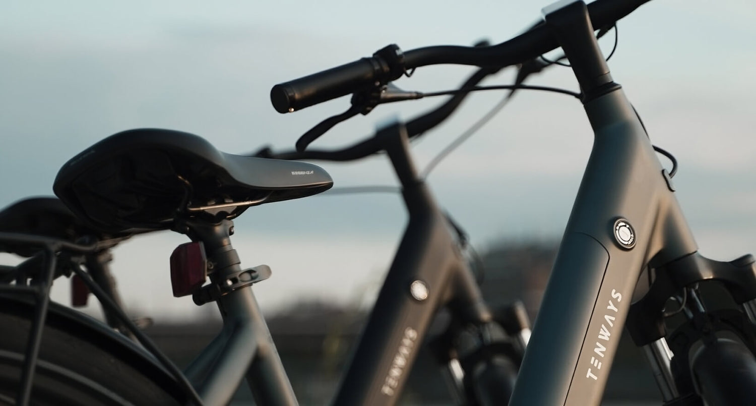 Bicicleta electrica TENWAYS CGO800S 15 pc 3 Picture 3 GP0hVGZ7r transformed 3d78bd84 1fd1 4038 9953