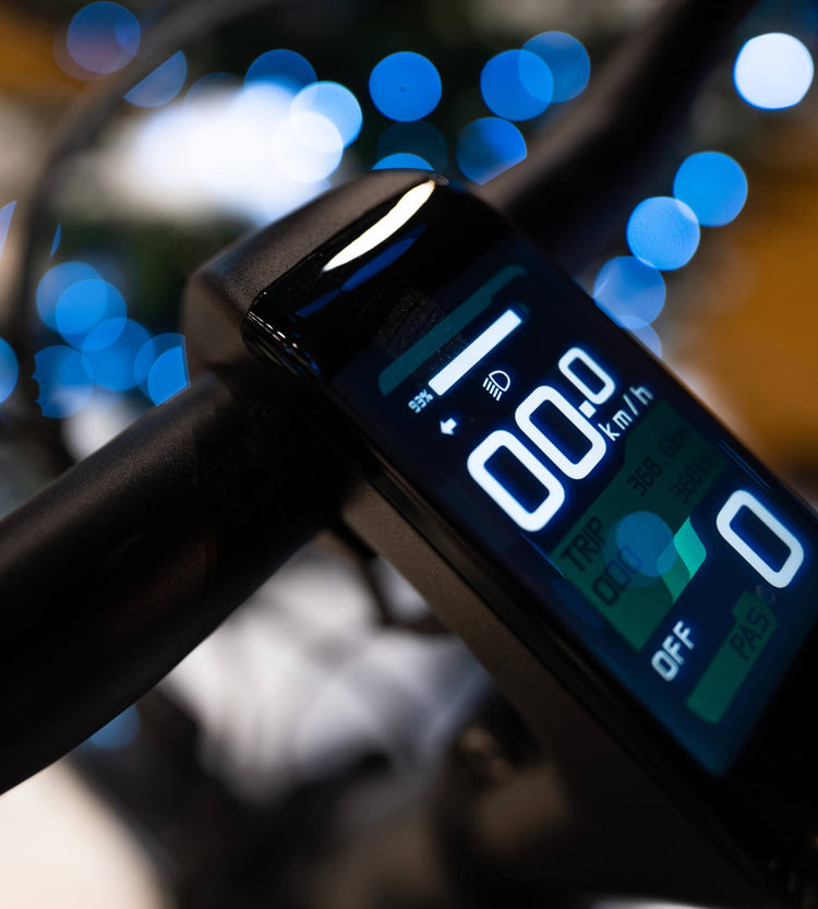 Bicicleta electrica TENWAYS CGO800S 38 pc 9 APP 1 e0b951dc 76f7 4e2e b1fe