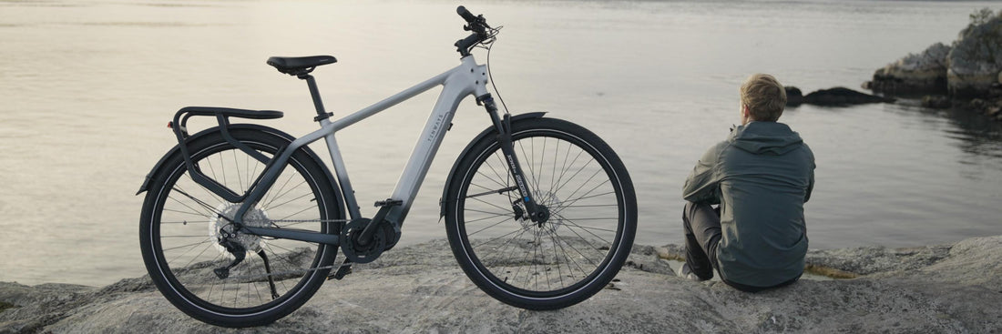 What do people think of the AGO X e-bike?