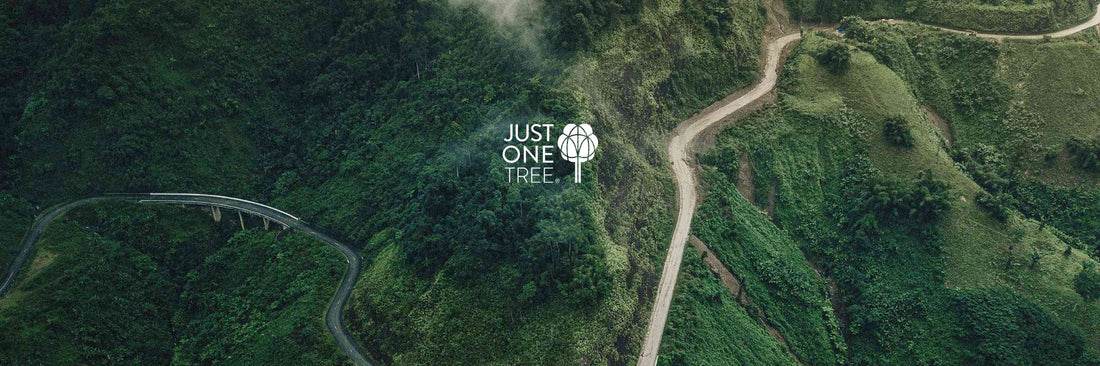 TENWAYS fights climate change together with Just One Tree