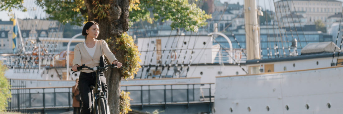 European e-bike subsidies – The rundown