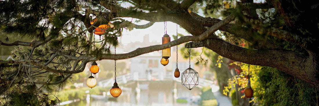 Think green, live green: 5 tips for living a sustainable life in 2022