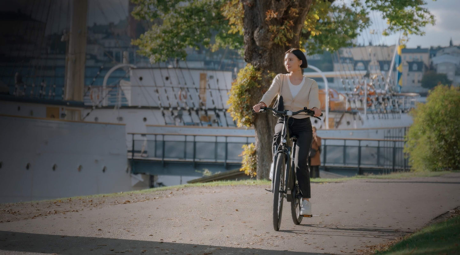 Bicicleta electrica TENWAYS CGO800S 20 1 1