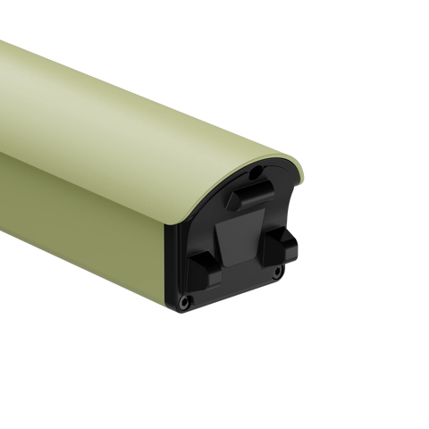 avocado_green