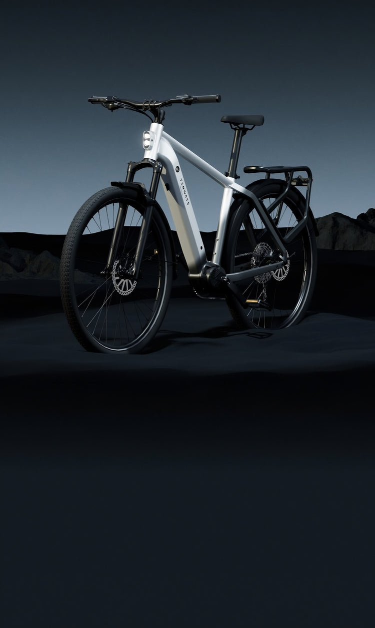 Gepland Postcode taxi TENWAYS E-Bike: Elektrische fiets van superieure waarde