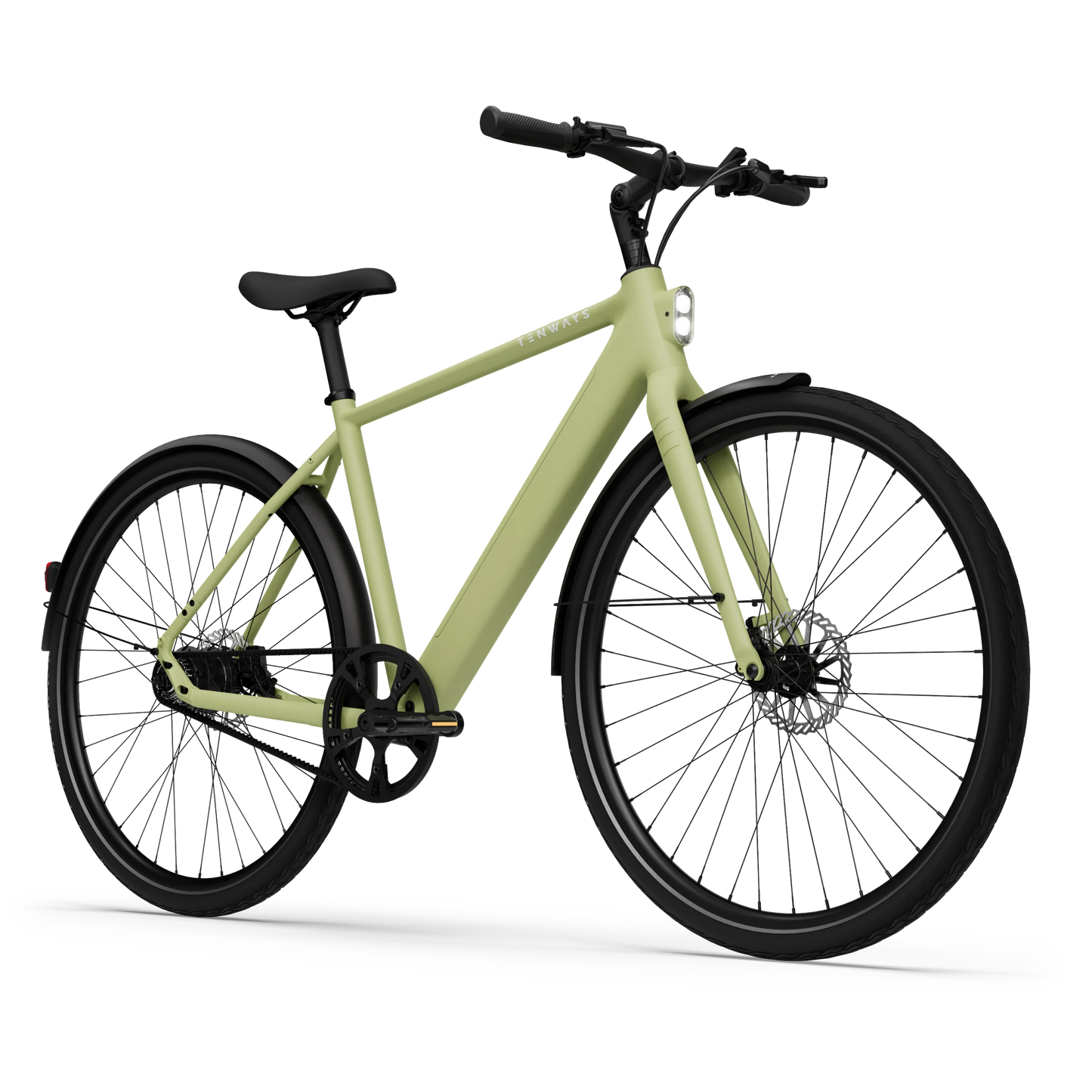 2024_avocado_green
