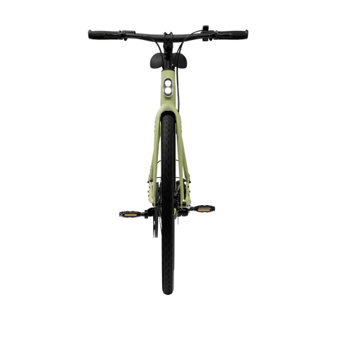 2024_avocado_green