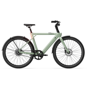 sage_green