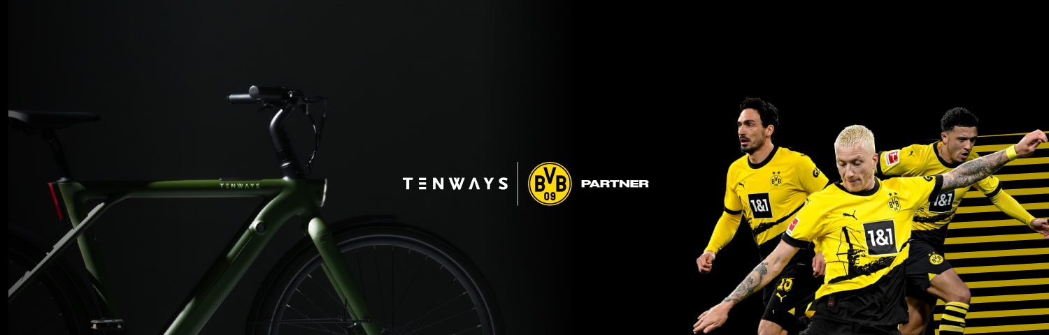 TENWAYS E Bike Electric Bike of Superior Value