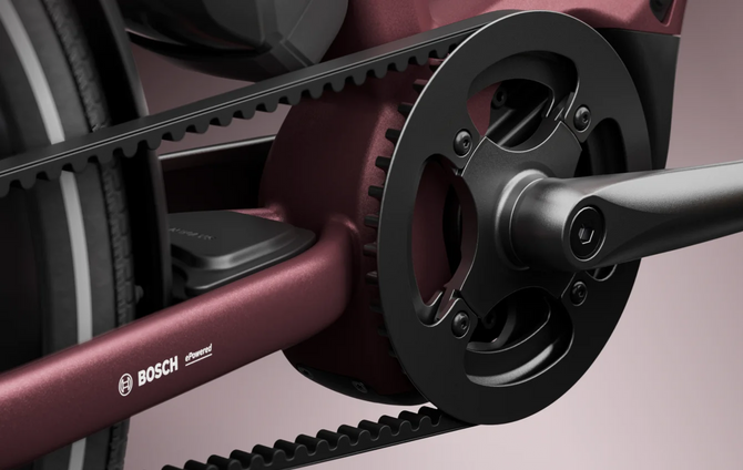 Langlebiger Gates CDX-Carbonriemen