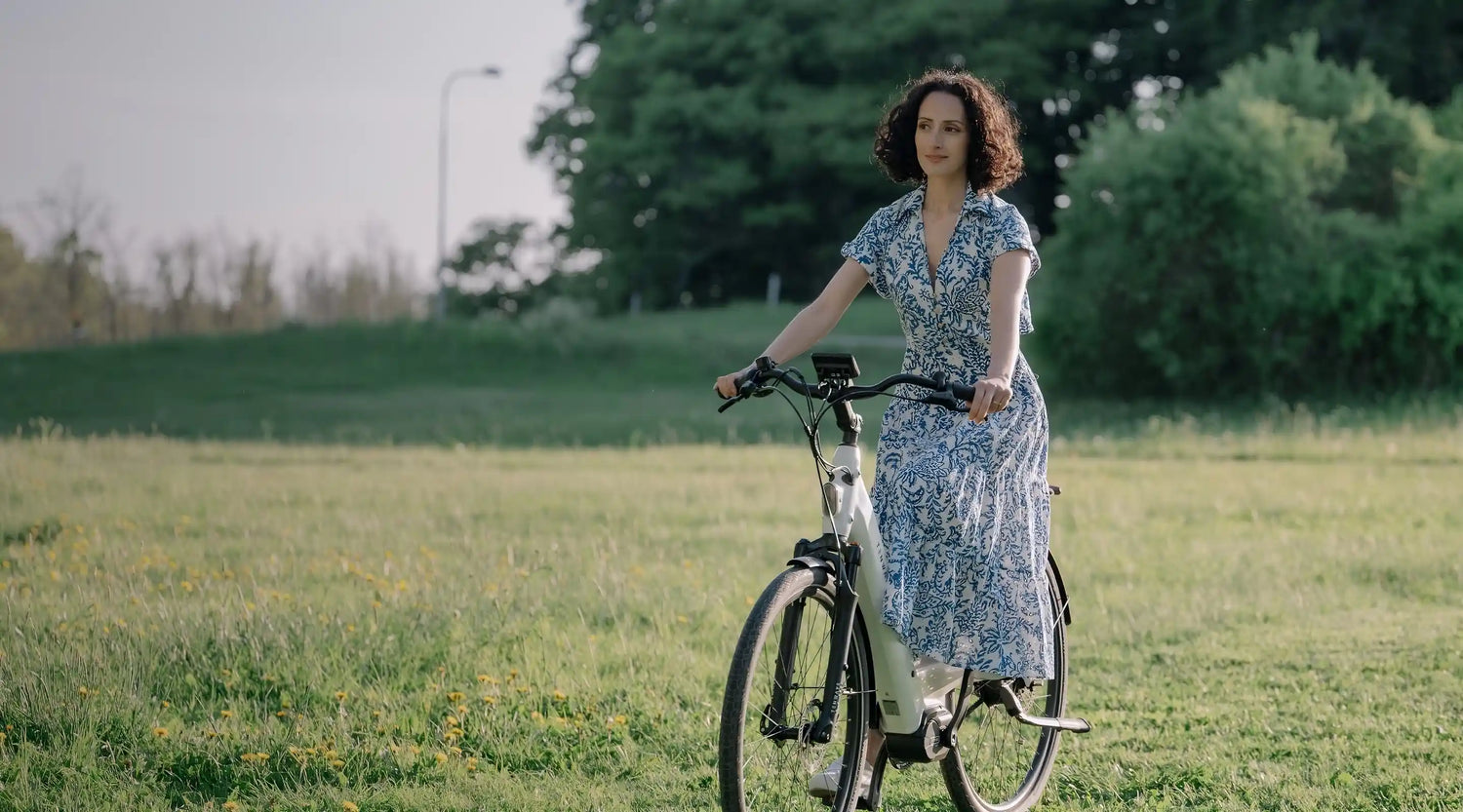 Bicicleta electrica TENWAYS AGO T 10 pc