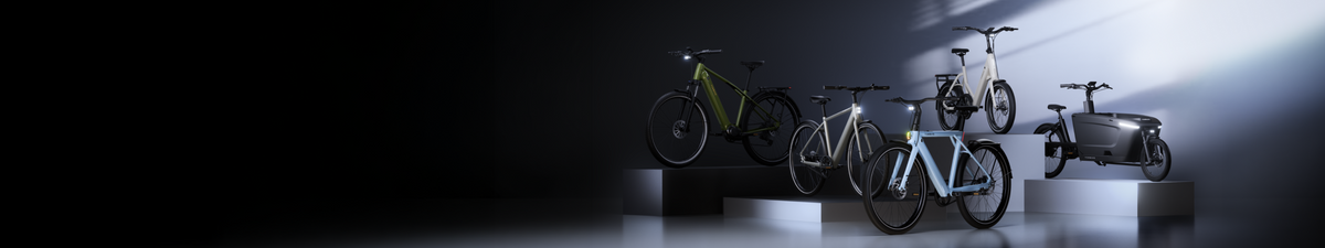 Find Your Perfect E-bike